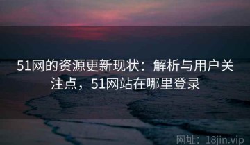 51网的资源更新现状：解析与用户关注点，51网站在哪里登录