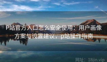 P站官方入口怎么安全使用：用户画像方案与设置建议，p站操作指南
