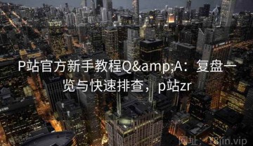 P站官方新手教程Q&A：复盘一览与快速排查，p站zr