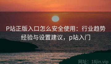 P站正版入口怎么安全使用：行业趋势经验与设置建议，p站入门