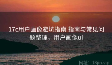 17c用户画像避坑指南 指南与常见问题整理，用户画像ui