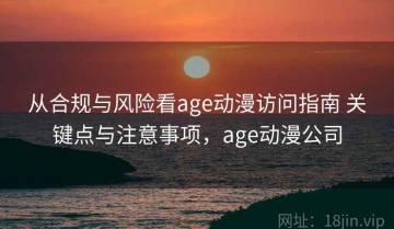 从合规与风险看age动漫访问指南 关键点与注意事项，age动漫公司