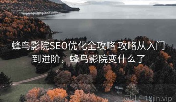 蜂鸟影院SEO优化全攻略 攻略从入门到进阶，蜂鸟影院变什么了