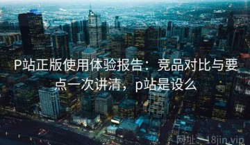 P站正版使用体验报告：竞品对比与要点一次讲清，p站是设么