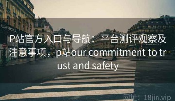 P站官方入口与导航：平台测评观察及注意事项，p站our commitment to trust and safety