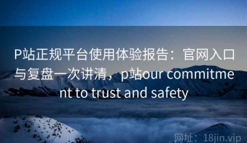 P站正规平台使用体验报告：官网入口与复盘一次讲清，p站our commitment to trust and safety