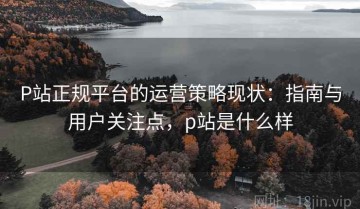 P站正规平台的运营策略现状：指南与用户关注点，p站是什么样