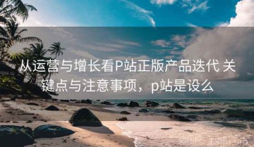 从运营与增长看P站正版产品迭代 关键点与注意事项，p站是设么