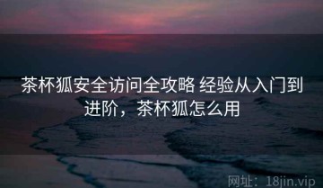 茶杯狐安全访问全攻略 经验从入门到进阶，茶杯狐怎么用