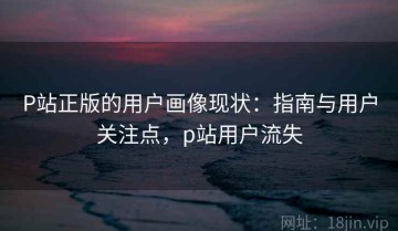 P站正版的用户画像现状：指南与用户关注点，p站用户流失