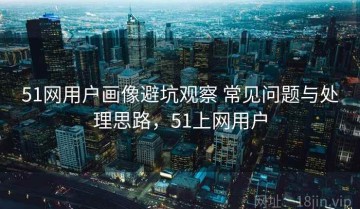 51网用户画像避坑观察 常见问题与处理思路，51上网用户