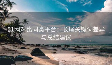 51网对比同类平台：长尾关键词差异与总结建议
