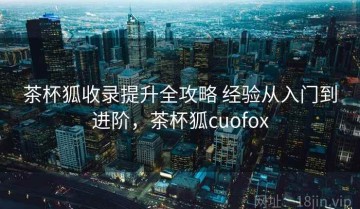 茶杯狐收录提升全攻略 经验从入门到进阶，茶杯狐cuofox