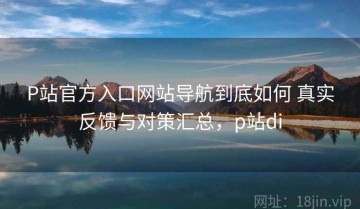 P站官方入口网站导航到底如何 真实反馈与对策汇总，p站di