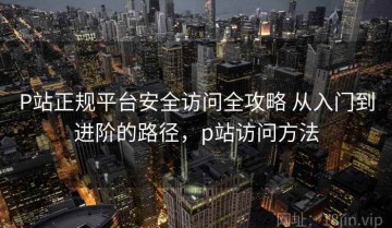 P站正规平台安全访问全攻略 从入门到进阶的路径，p站访问方法