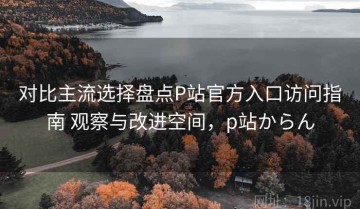 对比主流选择盘点P站官方入口访问指南 观察与改进空间，p站からん