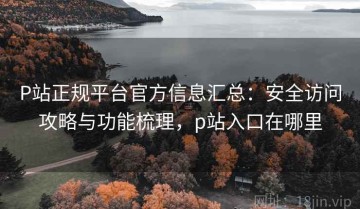 P站正规平台官方信息汇总：安全访问攻略与功能梳理，p站入口在哪里