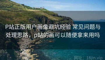 P站正版用户画像避坑经验 常见问题与处理思路，p站的画可以随便拿来用吗