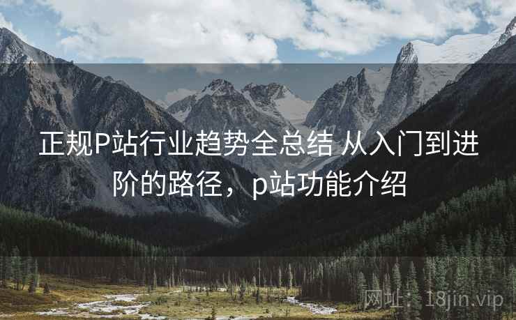 正规P站行业趋势全总结 从入门到进阶的路径，p站功能介绍