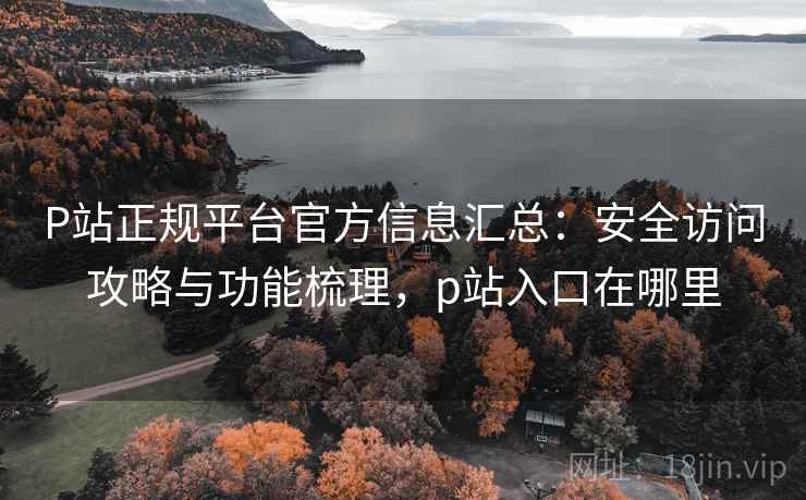 P站正规平台官方信息汇总：安全访问攻略与功能梳理，p站入口在哪里