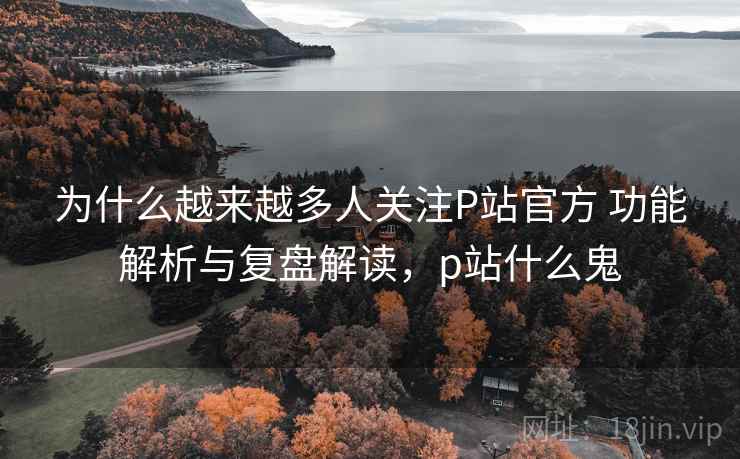 为什么越来越多人关注P站官方 功能解析与复盘解读，p站什么鬼