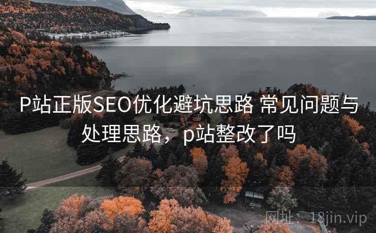P站正版SEO优化避坑思路 常见问题与处理思路，p站整改了吗