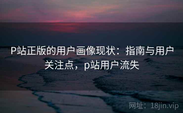 P站正版的用户画像现状：指南与用户关注点，p站用户流失