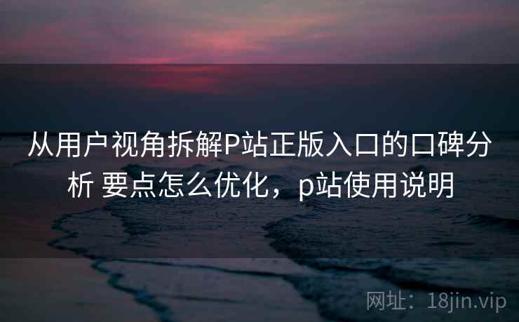 从用户视角拆解P站正版入口的口碑分析 要点怎么优化，p站使用说明