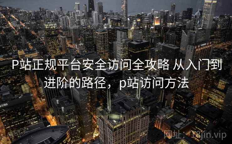 P站正规平台安全访问全攻略 从入门到进阶的路径，p站访问方法