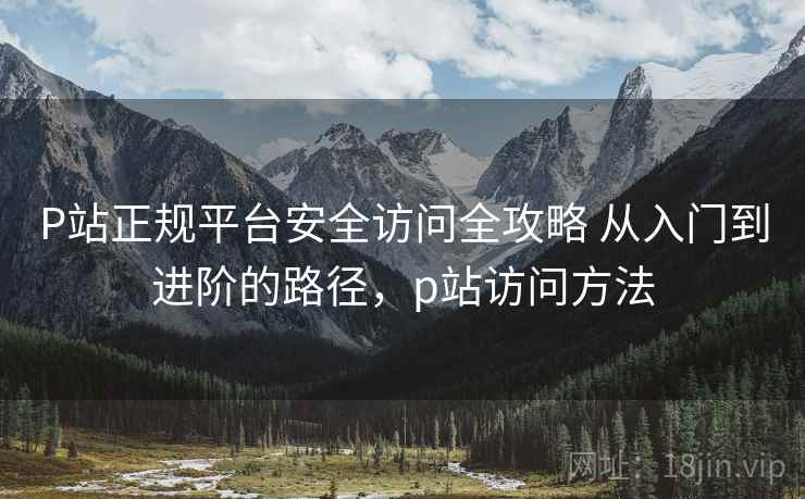 P站正规平台安全访问全攻略 从入门到进阶的路径，p站访问方法