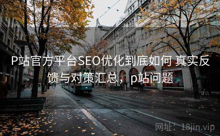 P站官方平台SEO优化到底如何 真实反馈与对策汇总，p站问题