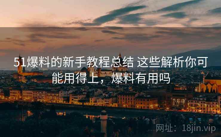 51爆料的新手教程总结 这些解析你可能用得上，爆料有用吗