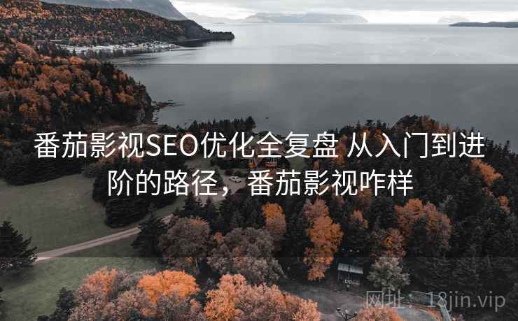 番茄影视SEO优化全复盘 从入门到进阶的路径，番茄影视咋样