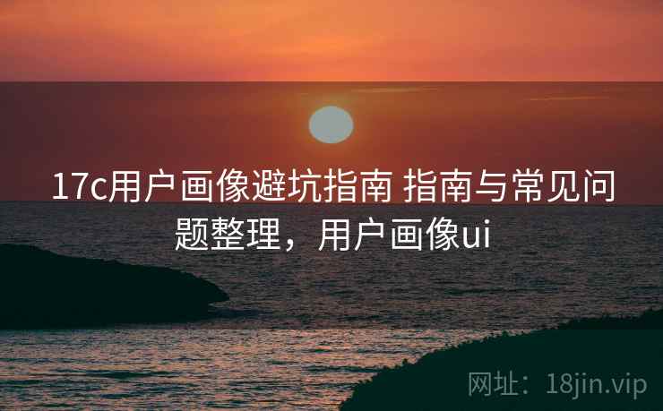 17c用户画像避坑指南 指南与常见问题整理，用户画像ui