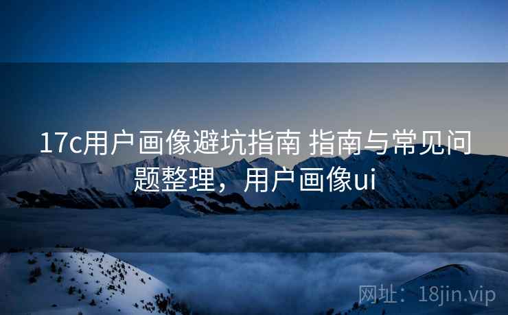 17c用户画像避坑指南 指南与常见问题整理，用户画像ui