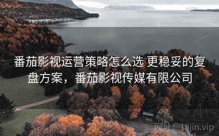 番茄影视运营策略怎么选 更稳妥的复盘方案,番茄影视传媒有限公司 番茄影视运营策略怎么选 更稳妥的复盘方案,番茄影视传媒有限公司